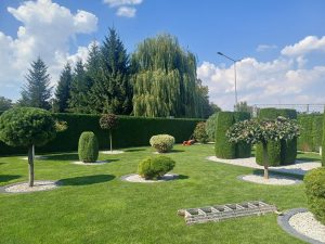 Projektowanie i zakładanie ogrodów – od pierwszej koncepcji po wymarzoną zieloną przestrzeń