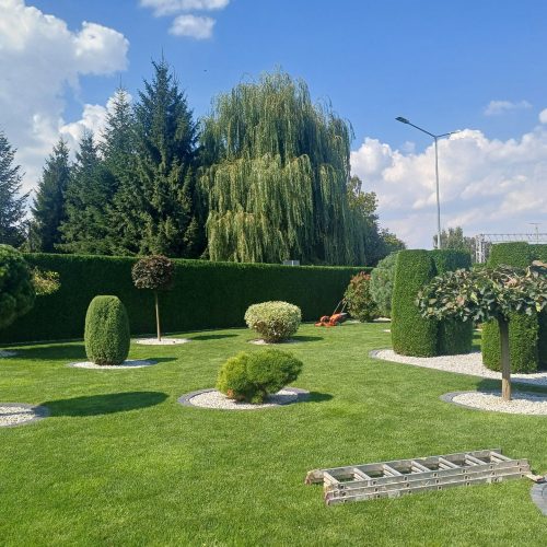 Projektowanie i zakładanie ogrodów – od pierwszej koncepcji po wymarzoną zieloną przestrzeń